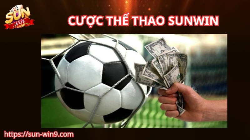 Giới thiệu về sảnh cược thể thao Sunwin